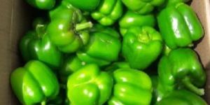 Green Capsicum