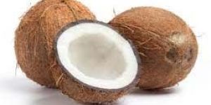 Coconut