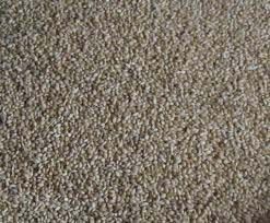 Foxtail Millet Seeds