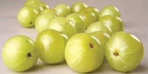 Fresh Gooseberry