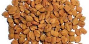 Fenugreek Seeds