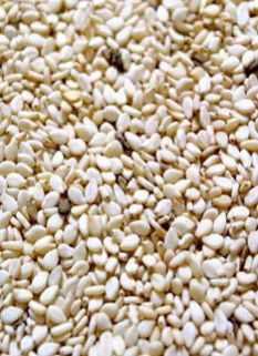Sesame Seeds