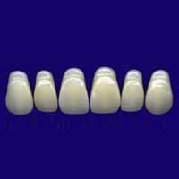 Acrylic Teeth Set