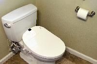 Bidet Toilet Seat