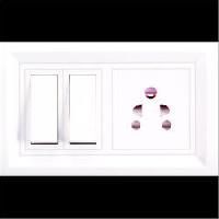 Plastic Two Switch Electrical Board