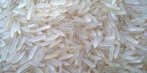 Organic Rice