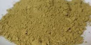 Cassia Tora Husk