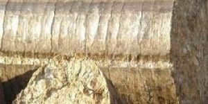 High Grade White Coal