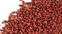 Annatto Seed