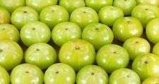 Amla Extract