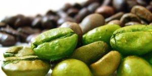 Green Coffee Bean Extract