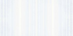 Glossy Series Tiles (250 X 375 MM)