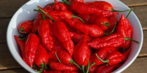 Bhut Jolokia