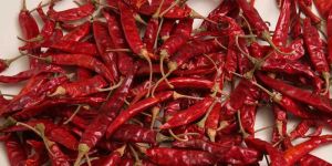 Red Dry Chilli