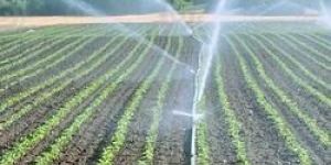 Agriculture Horticulture Sprinkler Set