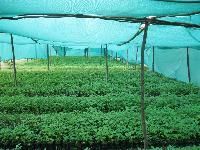 Agro Shed Nets