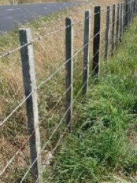 Barbed Wire Fencing