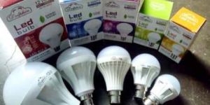Dolphin LED Bulb