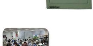 Electric Fly Trapper