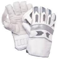 Wicket Keeping Gloves