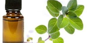 Oregano Oil
