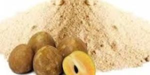 Sapota Powder