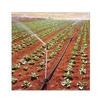 Drip Irrigation