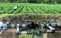 Drip Irrigation