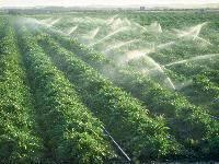 Micro Irrigation System