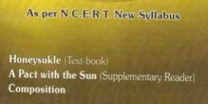 English Solution Book