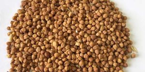 Australian Desi Chick Peas