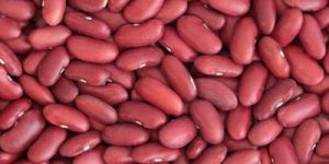 Red Kidney Beans