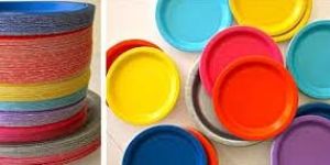 Disposable Paper Plates