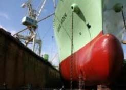 Antifouling Coatings