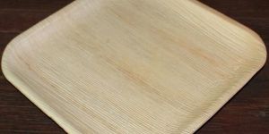 Areca Leaf Sheath Plates