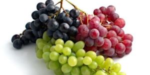 Fresh Grapes
