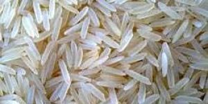1121 Basmati Rice