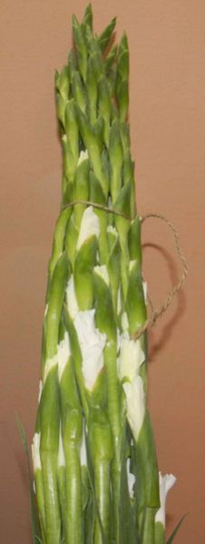 Fresh Gladiolus Cut Flower