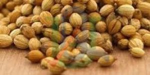 Coriander Seeds