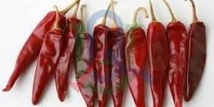 Dry Red Chili