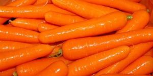 Fresh Carrot
