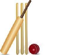 Cricket Accessories