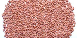 Groundnut Kernel - Bold