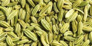Fennel Seeds