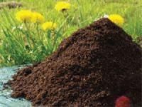Bio Organic Fertilizer