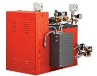 Commercial Steam Generator