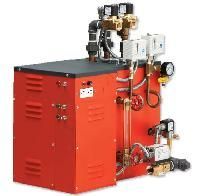 Commercial Steam Generator