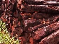 a Grade Red Sandalwood Logs