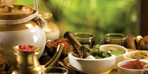 in Home Ayurvedic Treatment