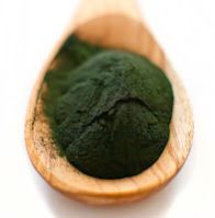 Spirulina
